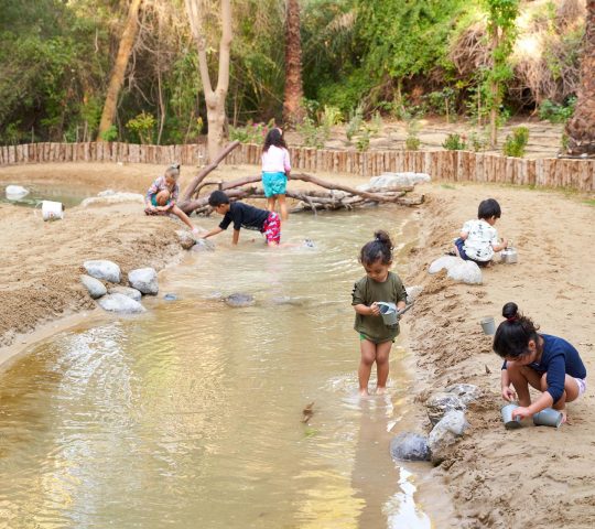 Al Barari playground