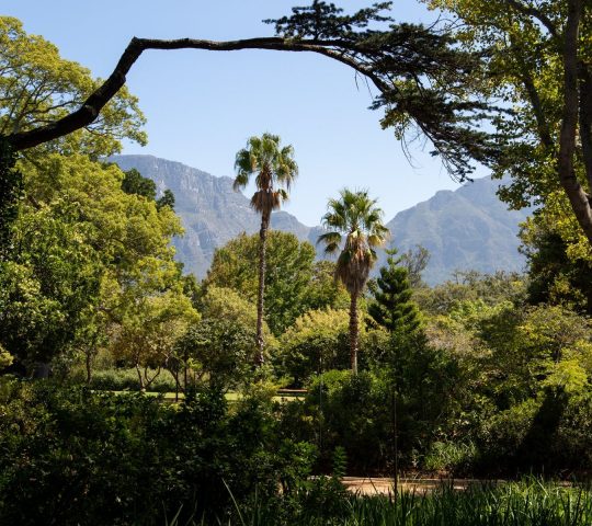 Arderne Gardens