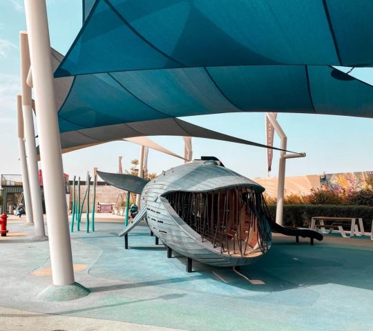 Creek Marina playground