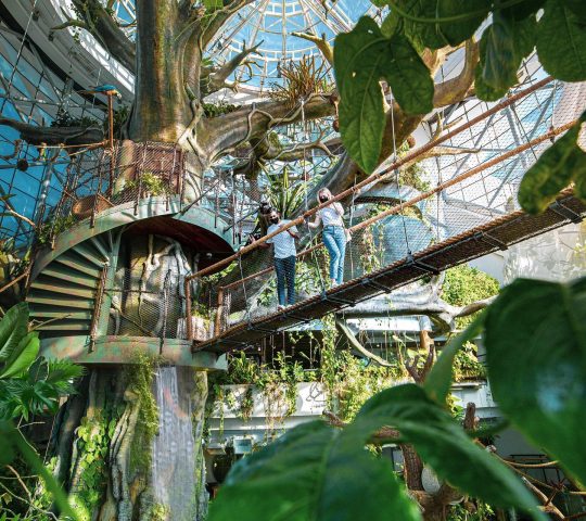 The Green Planet