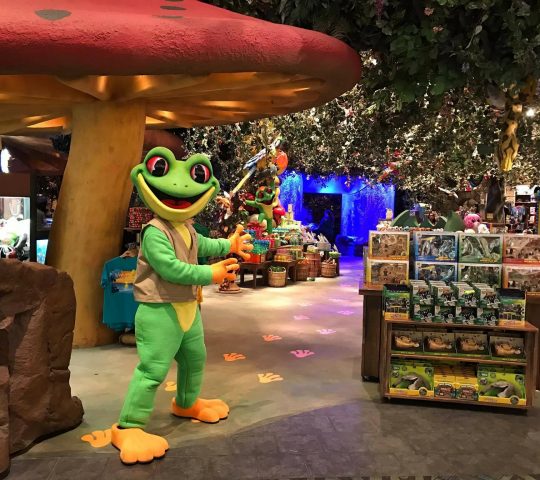 Rainforest cafe