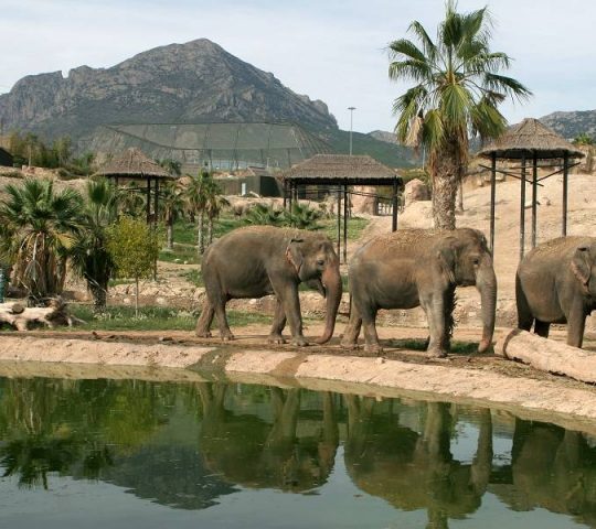 Terra Natura