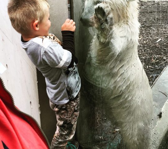 Copenhagen Zoo