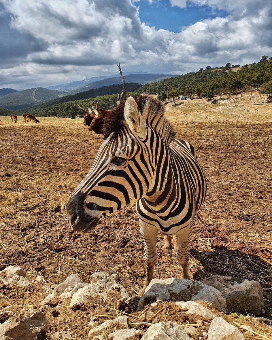 safari sierra aitana