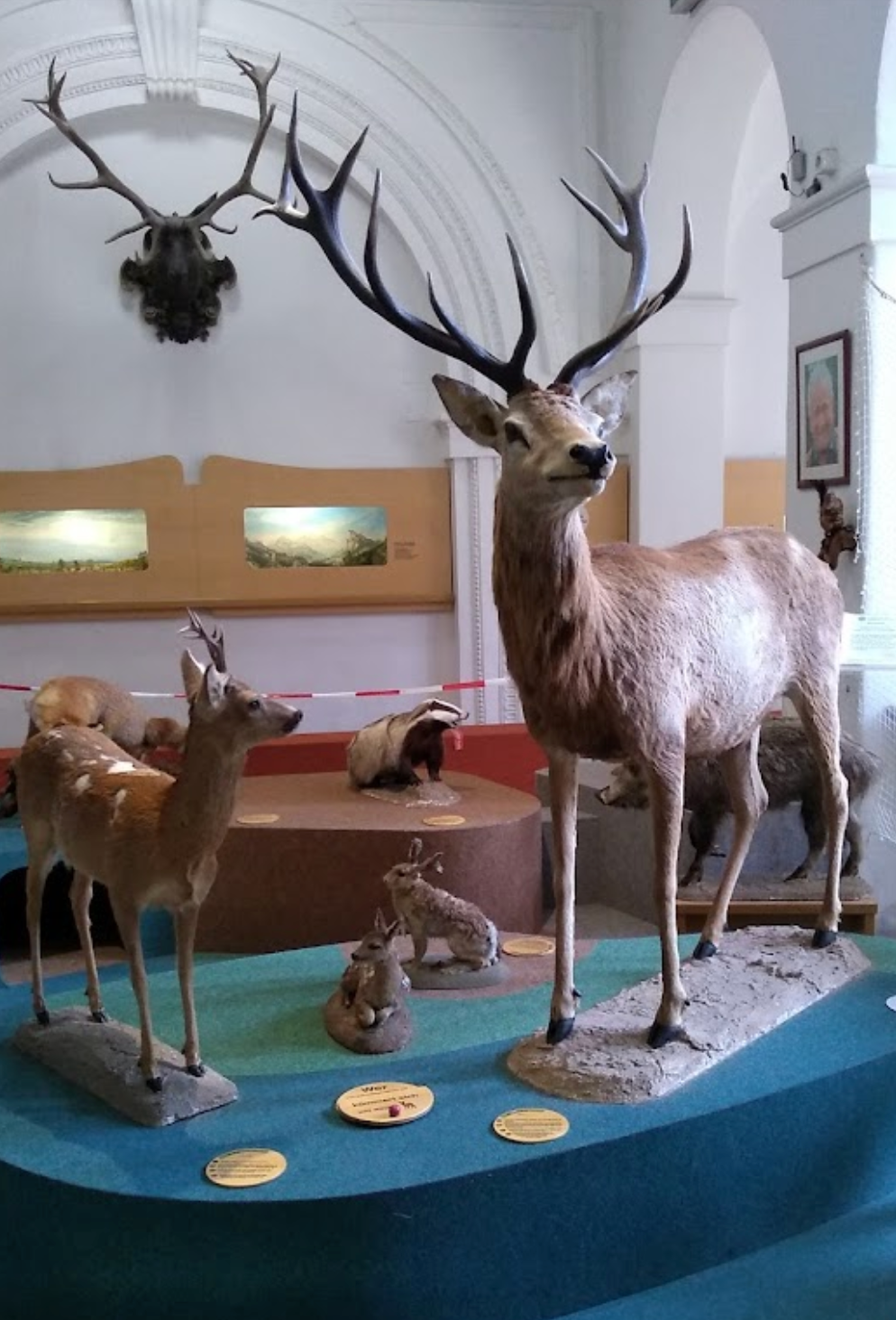 German Hunting and Fishing Museum