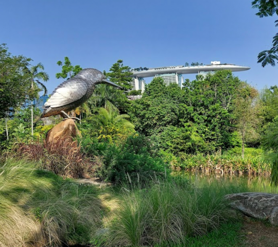 Kingfisher wetlands at Gardens by the Bay