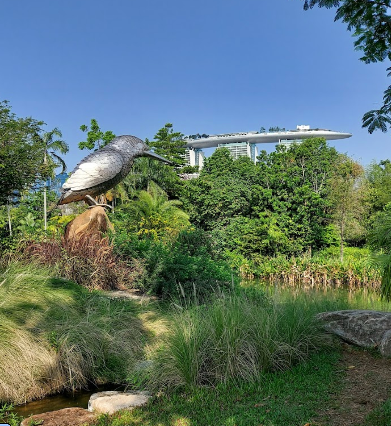Kingfisher wetlands at Gardens by the Bay