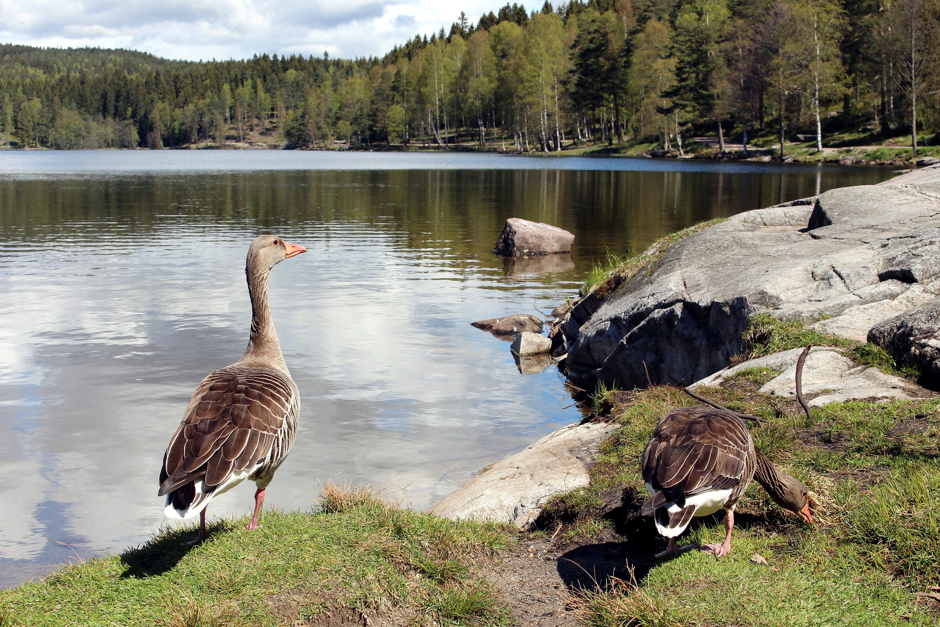 Sognsvann Lake