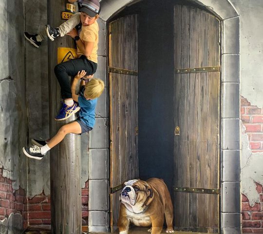 ArtVo 3D: Immersive Art Gallery