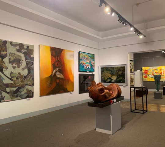 Ho Chi Minh City Museum of Fine Arts